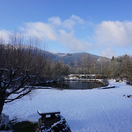 La Maison Et L'Etang - Grand Terrain Prive Vagney Eksteriør billede