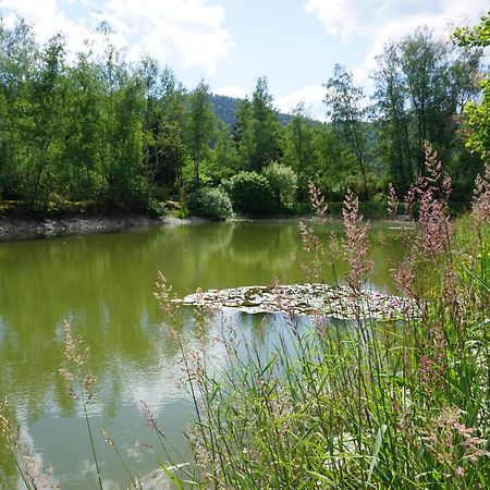 La Maison Et L'Etang - Grand Terrain Prive Vagney Eksteriør billede