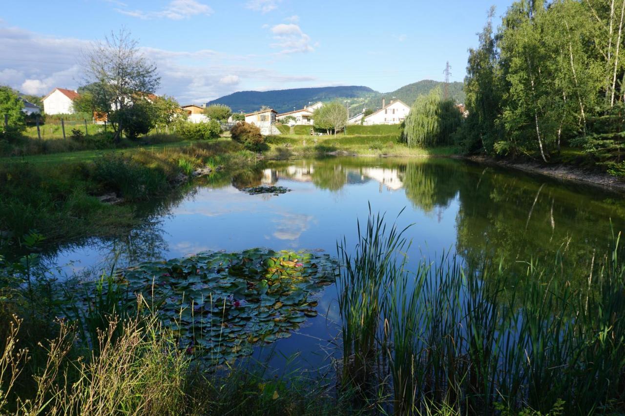 La Maison Et L'Etang - Grand Terrain Prive Vagney Eksteriør billede
