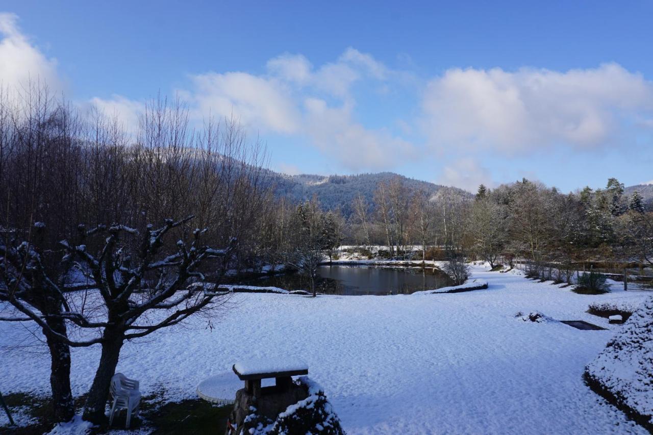 La Maison Et L'Etang - Grand Terrain Prive Vagney Eksteriør billede